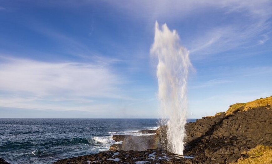 Image 2: Kiama Coastal Day Tour in Sea Cliff Bridge Blowhole and Wildlife