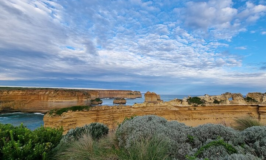 Image 13: Great Ocean Road Private Luxury Tour