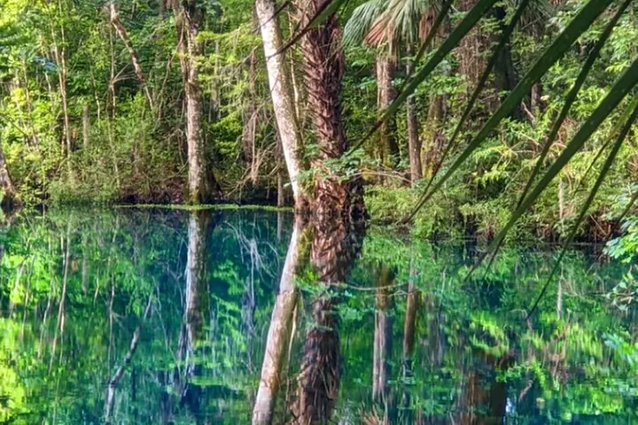 Silver Springs Jungle Kayaking and Paddleboarding