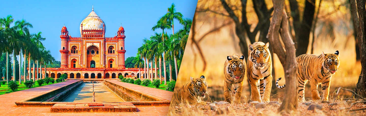 ✈ INDIA | New Delhi - Journey to the Heart of the Rajput Kingdoms, ...