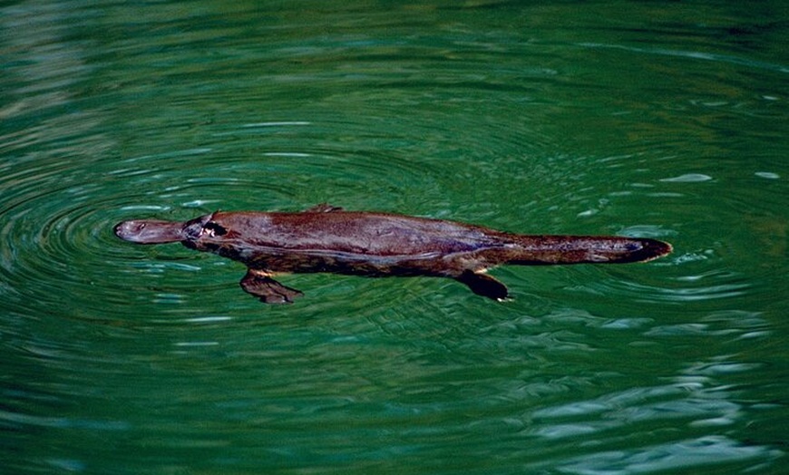 Image 22: 14 Day Tour from Sydney to Cairns Fraser Island and Whitsundays