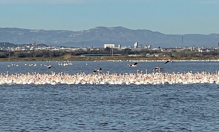 Image 8: Aventura en bicicleta desde Valencia a Humedales y playas de la Alb...
