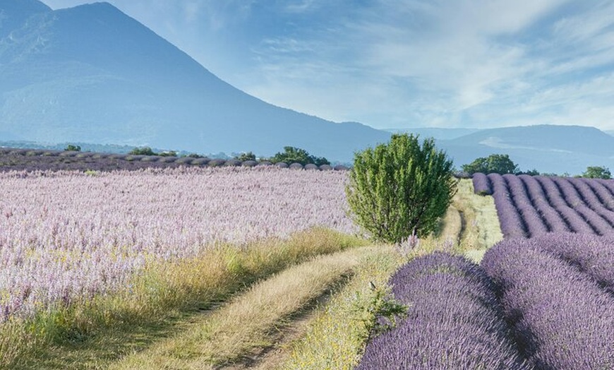 Image 11: L'Occitane, Moustiers & Verdon d'Aix en Provence