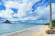 【New: Private Tour】Oahu Grand Circle Island Sightseeing Experience - Second Medium