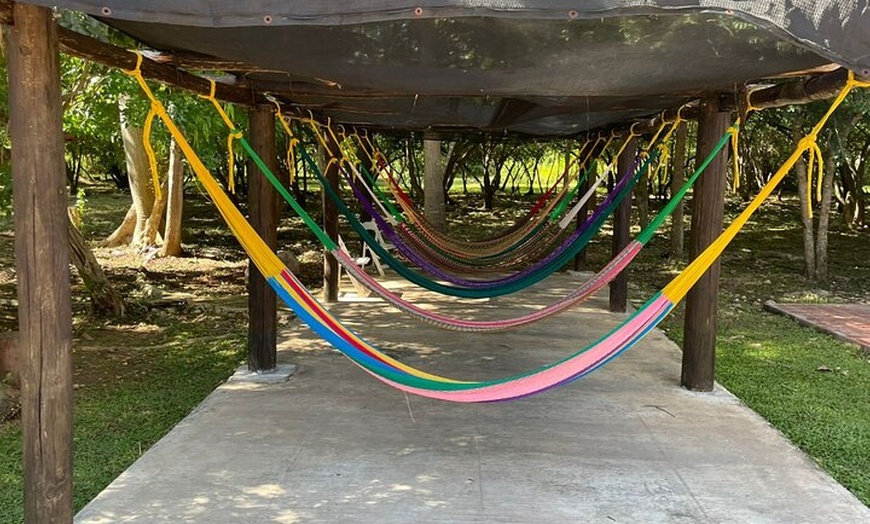 Image 6: Private Tour to Chichen Itza, Cenote Swim and Valladolid Visit