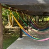 Image 6: Private Tour to Chichen Itza, Cenote Swim and Valladolid Visit