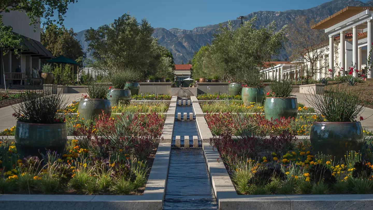 Walking Tours Through The Huntington's Gardens - Primary Image