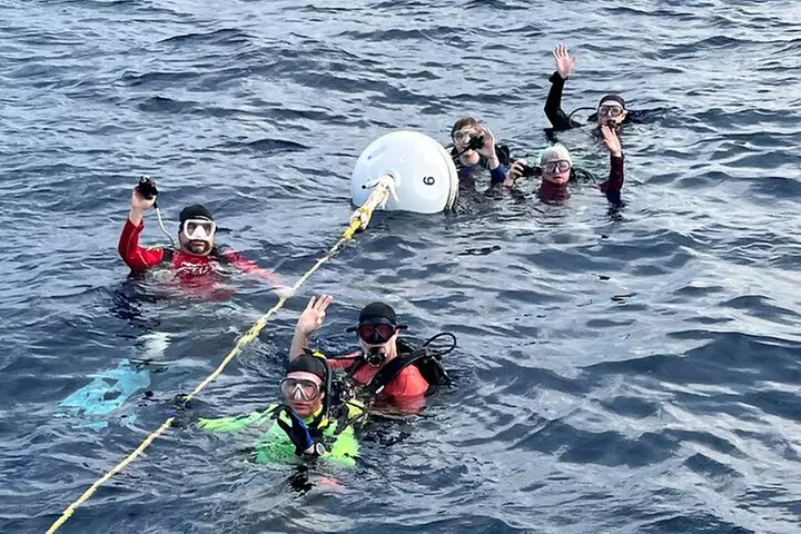 2 Dive Scuba Diving Reef Excursion to Key Largo Marine Sanctuary