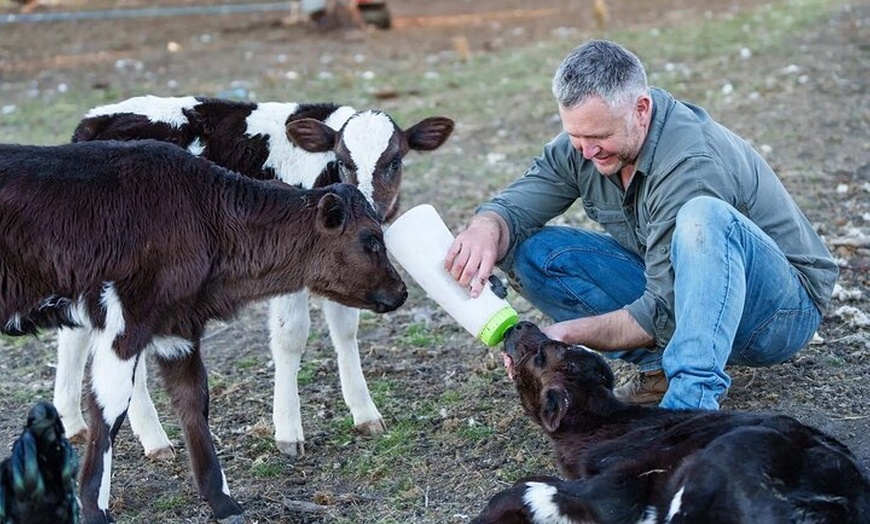 Image 4: Eventide Sanctuary Farm Tours and Richmond Old Town