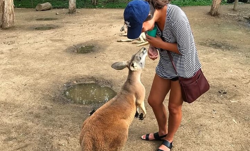 Image 7: Byron Bay and Currumbin Wildlife Sanctuary Day Tour