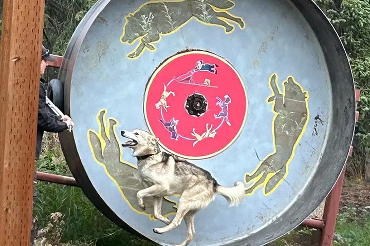 Husky Homestead Tour