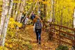 Blue Mountains Shuttle from Toronto – Village or Scenic Caves - Second Medium
