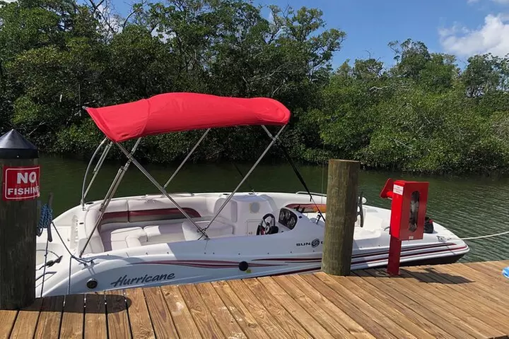 Key Largo Bay Dolphin Sunset Tour