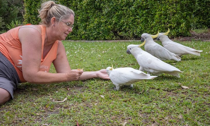 Image 7: Quad Biking, Koalas and Kangaroos - Private Tour