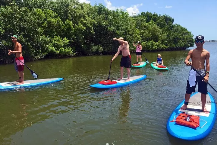 Full-Day Paddle Board Rental in Naples, Florida - Primary Image