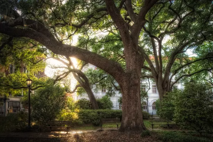 The Grave Tales Ghost Tour in Savannah