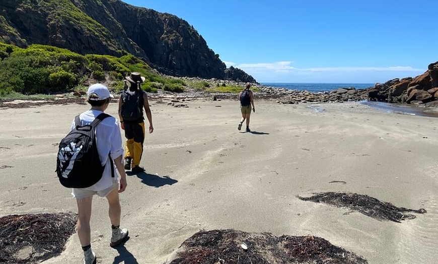 Image 5: Deep Creek Hike: Trails and Tales with a Foreign Flair