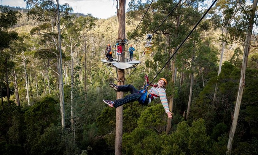 Image 2: Launceston: Hollybank Treetops Adventure - Zipline Tours