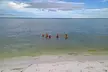 Clearwater 5-Hour Private Boat Charter – Dolphins & Island Hops - Second Medium