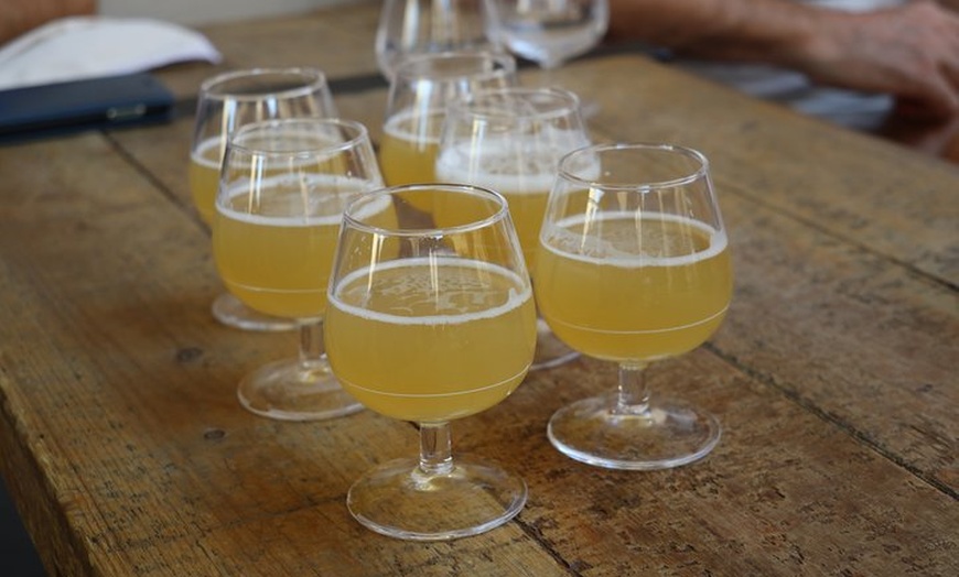 Image 4: Une marche houblonnée ! Bière artisanale à Montpellier