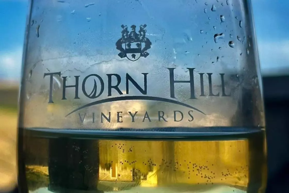 $15 For 2 Glasses Of Wine (Reg. $30)