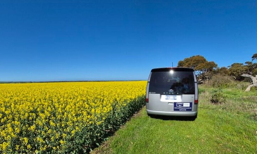 Image 4: Oyster Adventure in Coffin Bay (Coffin Bay Pick Up)