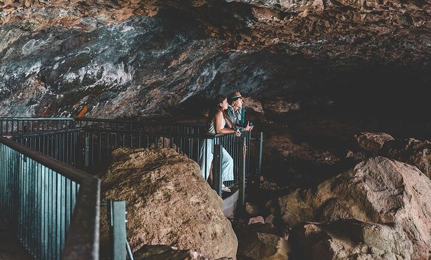 Image 9: Springbrook andTamborine Rainforest Tour Incl Natural Bridge and Gl...