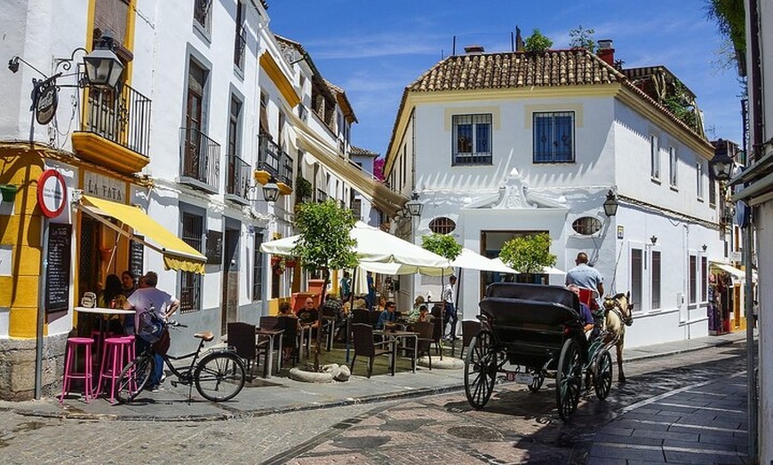 Image 6: Viaje Privado a Córdoba desde Sevilla para Grupos