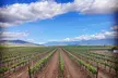 Private Temecula Wine Tour - Lake Elsinore - Second Medium