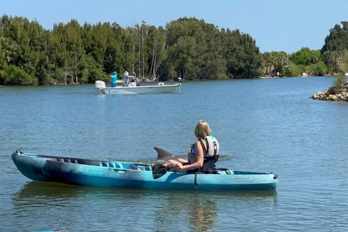 Wildlife Refuge Dolphin, Manatee & Mangrove Kayak or Paddleboarding...