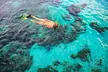 Snorkel Tours to Shallow Coral Reefs at Pennekamp Underwater Park - Second Medium