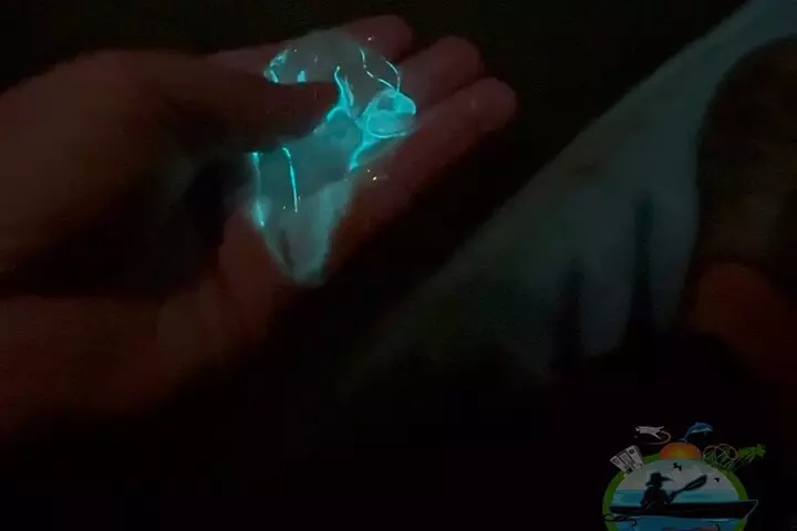 Florida Bioluminescence Kayaking Tour (Titusville)