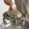 Image 4: Sydney Fish Market: Singapore Chilli Mud Crab Cooking Class