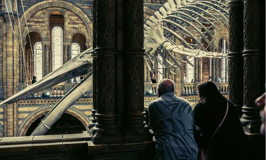 Image 2: Natural History Museum London Guaranteed Free Entry & Audio Tour
