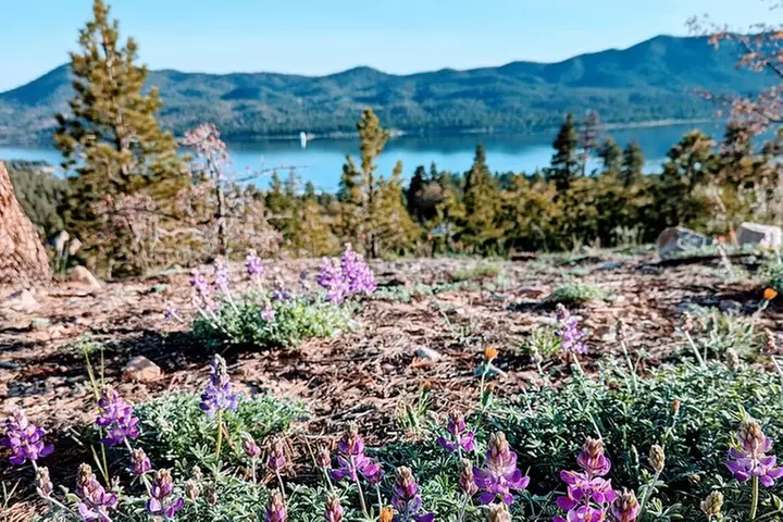 Family-Friendly Nature Hike around the Big Bear Valley