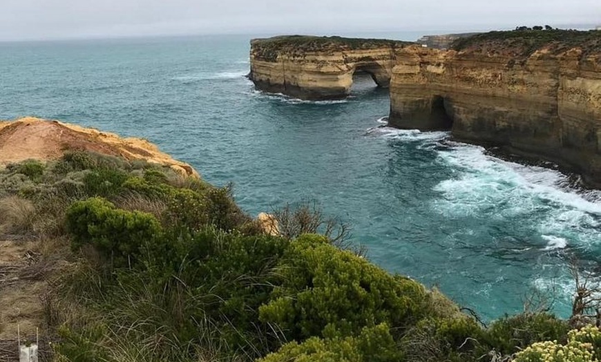 Image 3: Great Ocean Road 12 Apostles kangaroo & koala tour