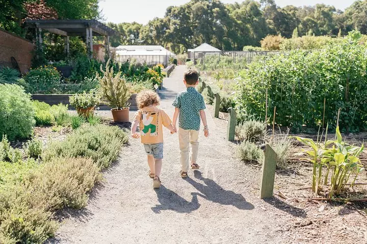 Summer Nights at Filoli Historic House and Gardens