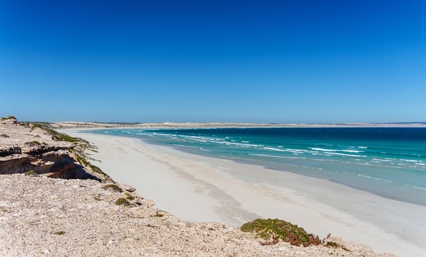 Image 9: Coffin Bay Tour with Oyster Shucking and Off Road Adventure