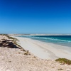 Image 9: Coffin Bay Tour with Oyster Shucking and Off Road Adventure