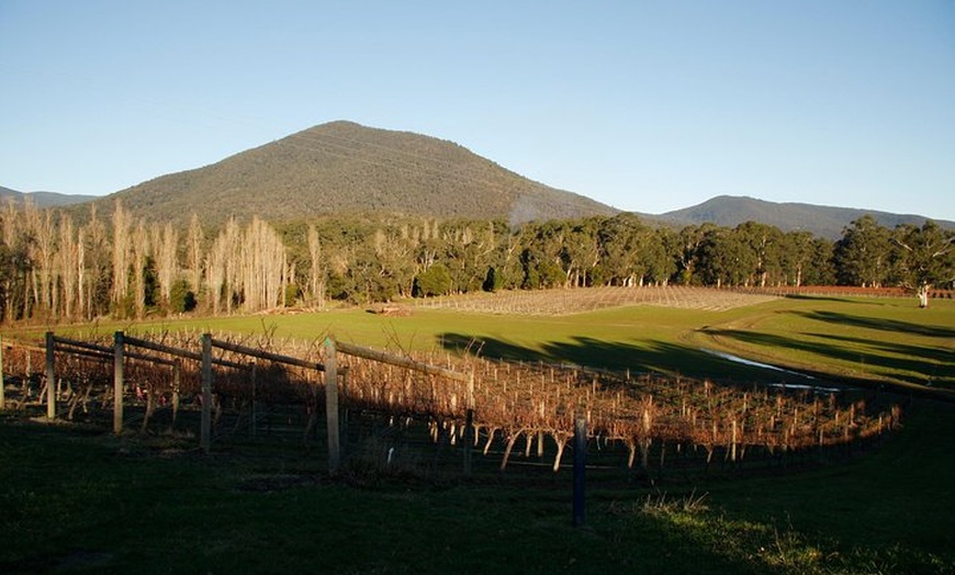 Image 4: Half Day Yarra Valley Winery Day Trip from Melbourne