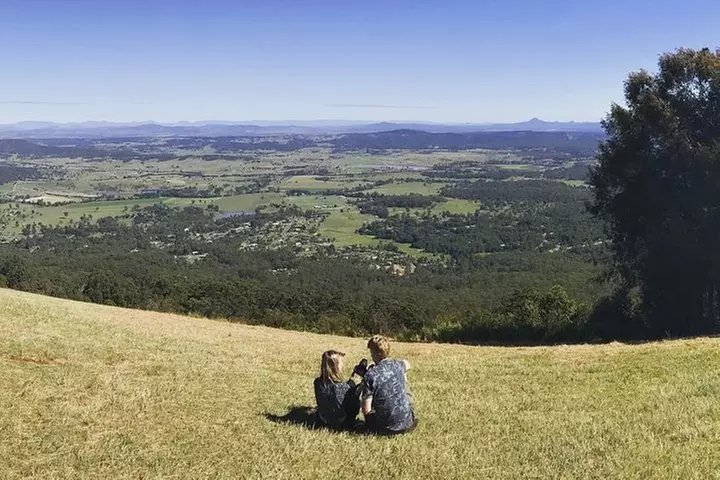 Barefoot Luxury Mount Tamborine Winery Tour from Gold Coast