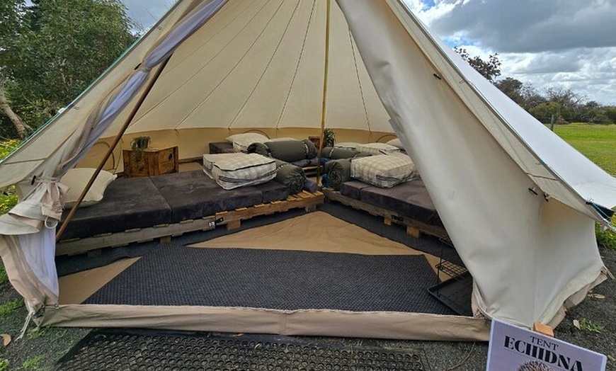 Image 7: Kangaroo Island 2-Day Wildlife Adventure Small Group tour