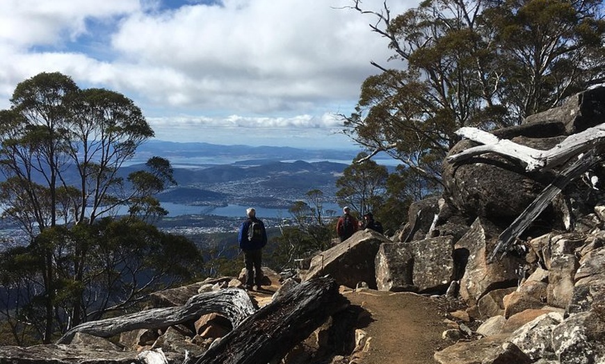 Image 5: kunanyi/Mt Wellington Explorer Bus- Return Tour (2.5 hours)