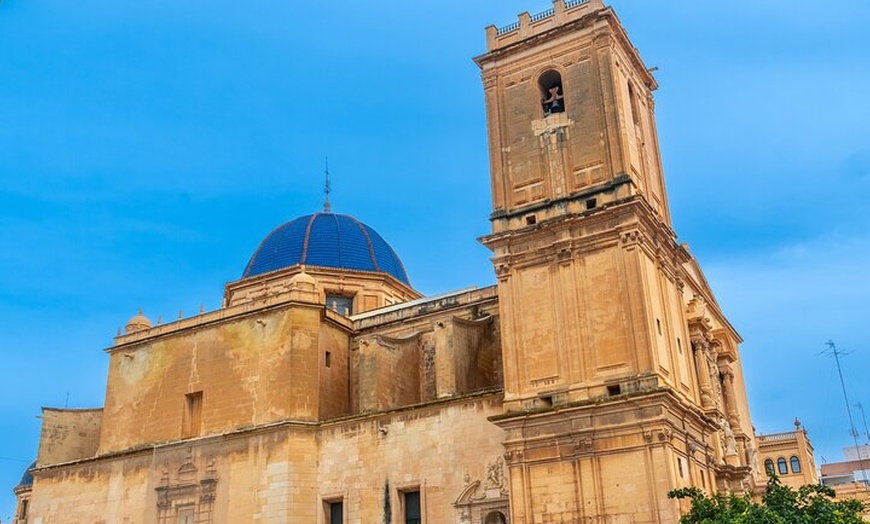 Image 7: Excursión privada de medio día a Elche desde Alicante