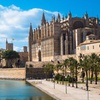 Image 6: Palma de Mallorca Tour Privado con Entrada rápida a la Catedral