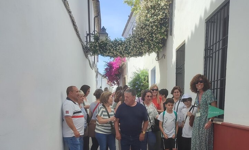 Image 8: Tour Guiado por el Concurso de Patios de Córdoba