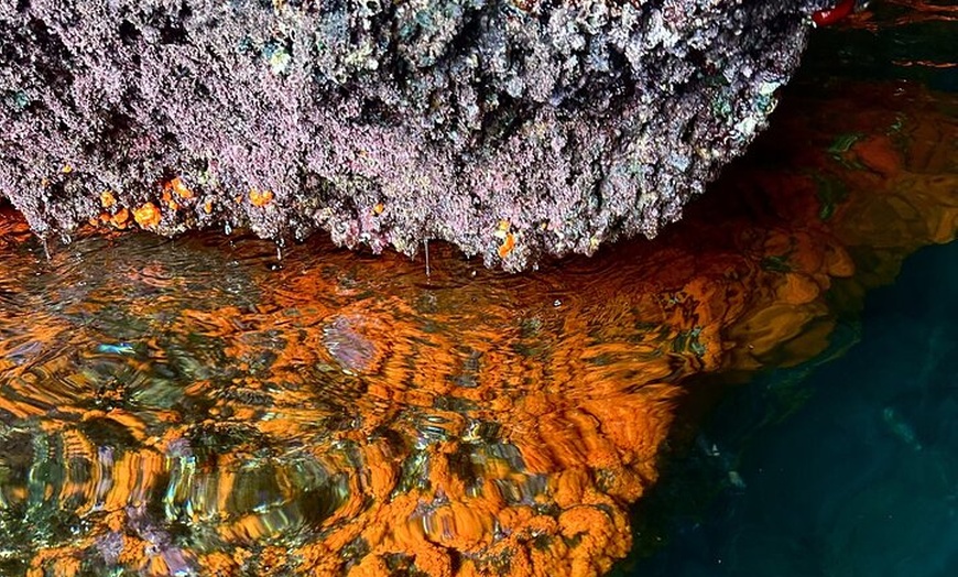 Image 14: Tour de Kayak y Snorkel en Parque Natural Cerro Gordo, La Herradura