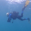 Image 5: Mallorca: Bautismo de buceo desde la playa