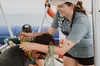Eco-Raft Tour: Interactive Hawaiian Cultural Whale / Dolphin Tour