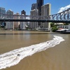 Image 3: Brisbane River Jet Ski Tour
